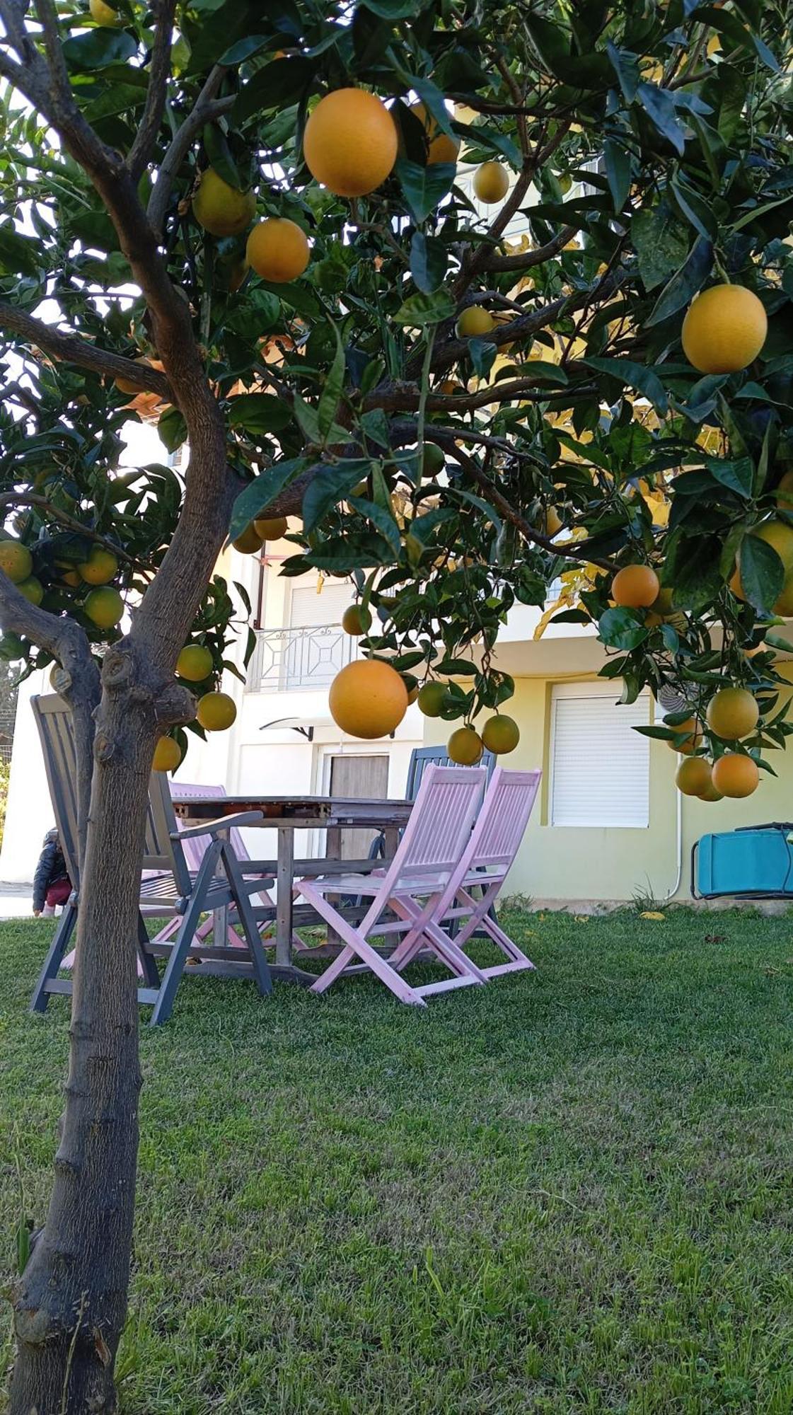Katia 'S Country House Sikion ภายนอก รูปภาพ